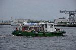 Dcim11120/DSC_6749