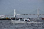 Dcim11121/DSC_6911