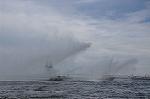 Dcim11122/DSC_7041