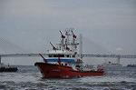 Dcim11122/DSC_7051