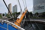 Dcim11122/DSC_7081