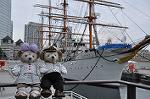 Dcim11124/DSC_7381