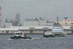 Dcim11126/DSC_2511