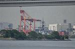 Dcim11129/DSC_7384