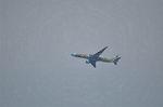 Dcim11129/DSC_7402