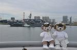 Dcim11129/DSC_7415