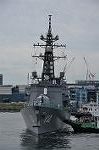 Dcim11129/DSC_7441