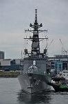 Dcim11129/DSC_7442