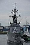 Dcim11129/DSC_7445