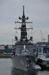 Dcim11129/DSC_7446