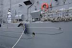 Dcim11131/DSC_7721