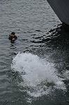 Dcim11134/DSC_8117