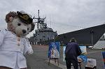 Dcim11134/DSC_8160