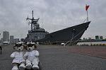 Dcim11135/DSC_8172