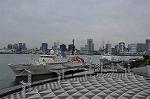 Dcim11135/DSC_8198