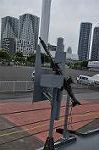 Dcim11136/DSC_8412