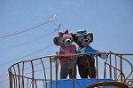 Dcim11146/DSC_9122