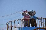Dcim11146/DSC_9124
