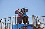 Dcim11147/DSC_9184