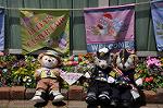 Dcim11147/DSC_9218