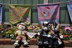 Dcim11147/DSC_9219