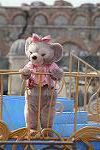 Dcim11149/DSC_3077