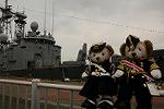 Dcim11156/DSC_3717