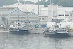 Dcim11161/DSC_9619