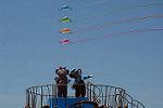Dcim11173/DSC_5914
