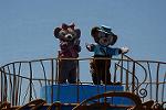 Dcim11173/DSC_5931