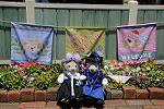 Dcim11173/DSC_6018