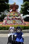 Dcim11174/DSC_6062