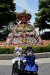 Dcim11174/DSC_6066