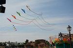 Dcim11176/DSC_6398