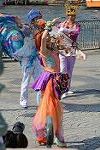 Dcim11177/DSC_6446