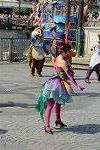 Dcim11177/DSC_6461