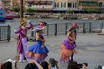 Dcim11177/DSC_6538