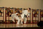 Dcim11182/DSC_7245