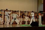 Dcim11182/DSC_7294