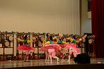 Dcim11183/DSC_7353
