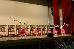 Dcim11184/DSC_7522
