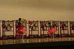Dcim11184/DSC_7616
