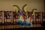 Dcim11186/DSC_7853