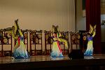 Dcim11186/DSC_7884