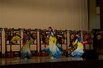 Dcim11187/DSC_7967