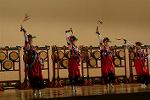 Dcim11188/DSC_8110