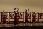 Dcim11188/DSC_8174