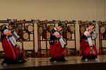 Dcim11188/DSC_8223