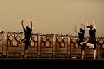 Dcim11190/DSC_8487
