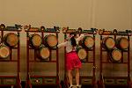 Dcim11191/DSC_8608